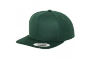 Spruce Snapback