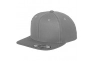 Silver Snapback