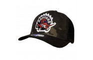 Raptors Multicam Snapback