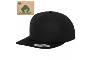 Black Organic Snapback