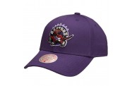 Raptors Purple Snapback